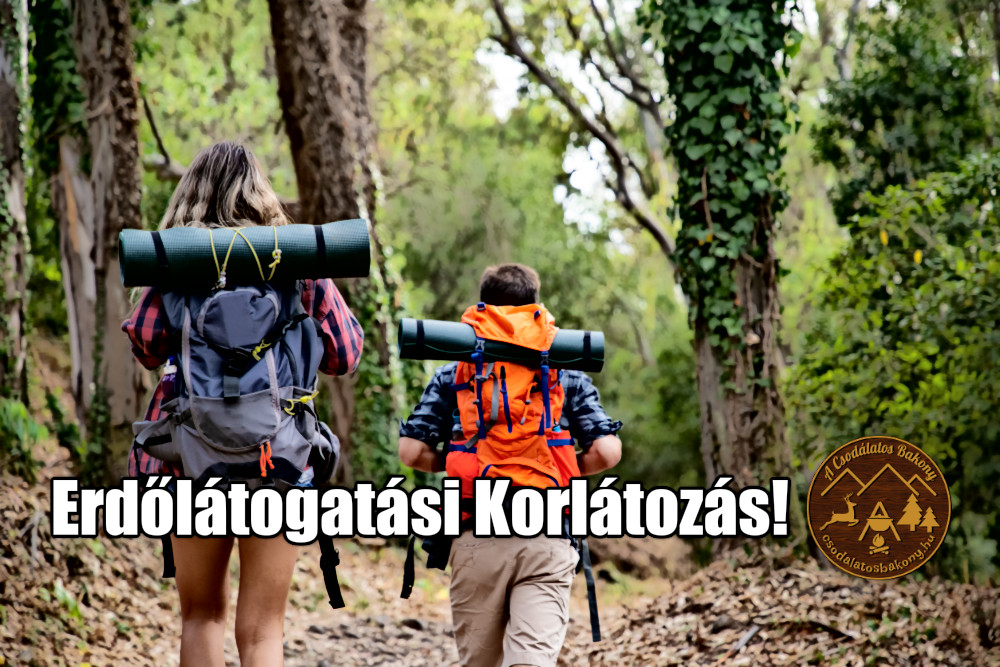 Erdőlátogatási korlátozások szeptember 1. és október 30. közötti időszakban Erdőlátogatási korlátozások szeptember 1. és október 30. közötti időszakban