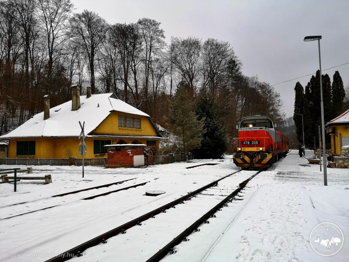 Téli Cuha-völgy túra, 1.rész: Zirctől Porva-Csesznekig