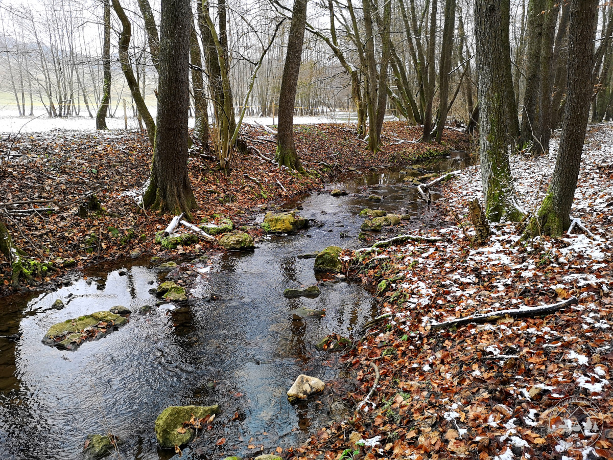 December 7. - A Gerence-patak Pénzesgyőr környékén