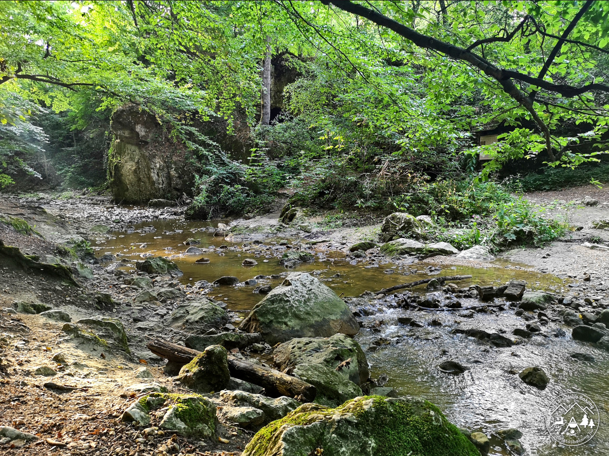 Cuha-szurdok, Vinye