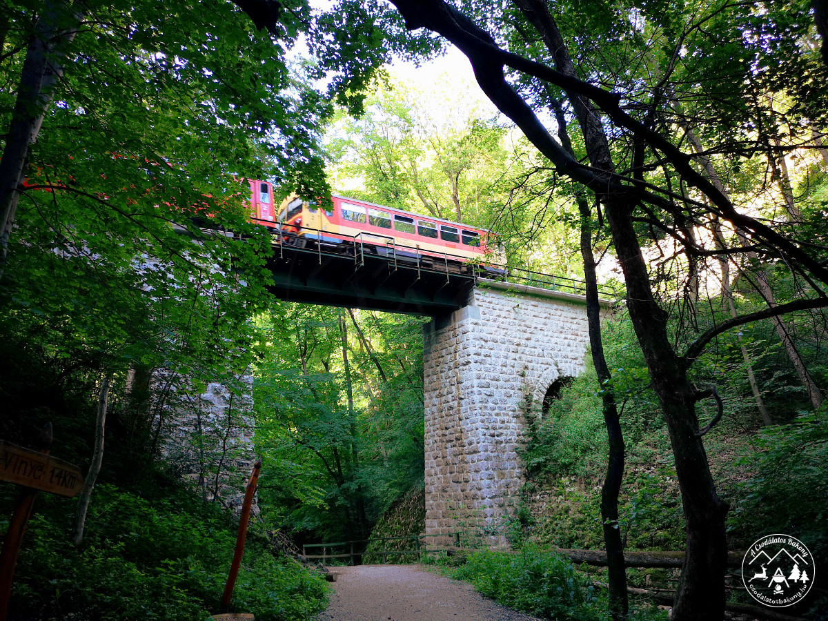 Vonat halad át a Gubányi Károly viadukton, a Cuha-patak felett