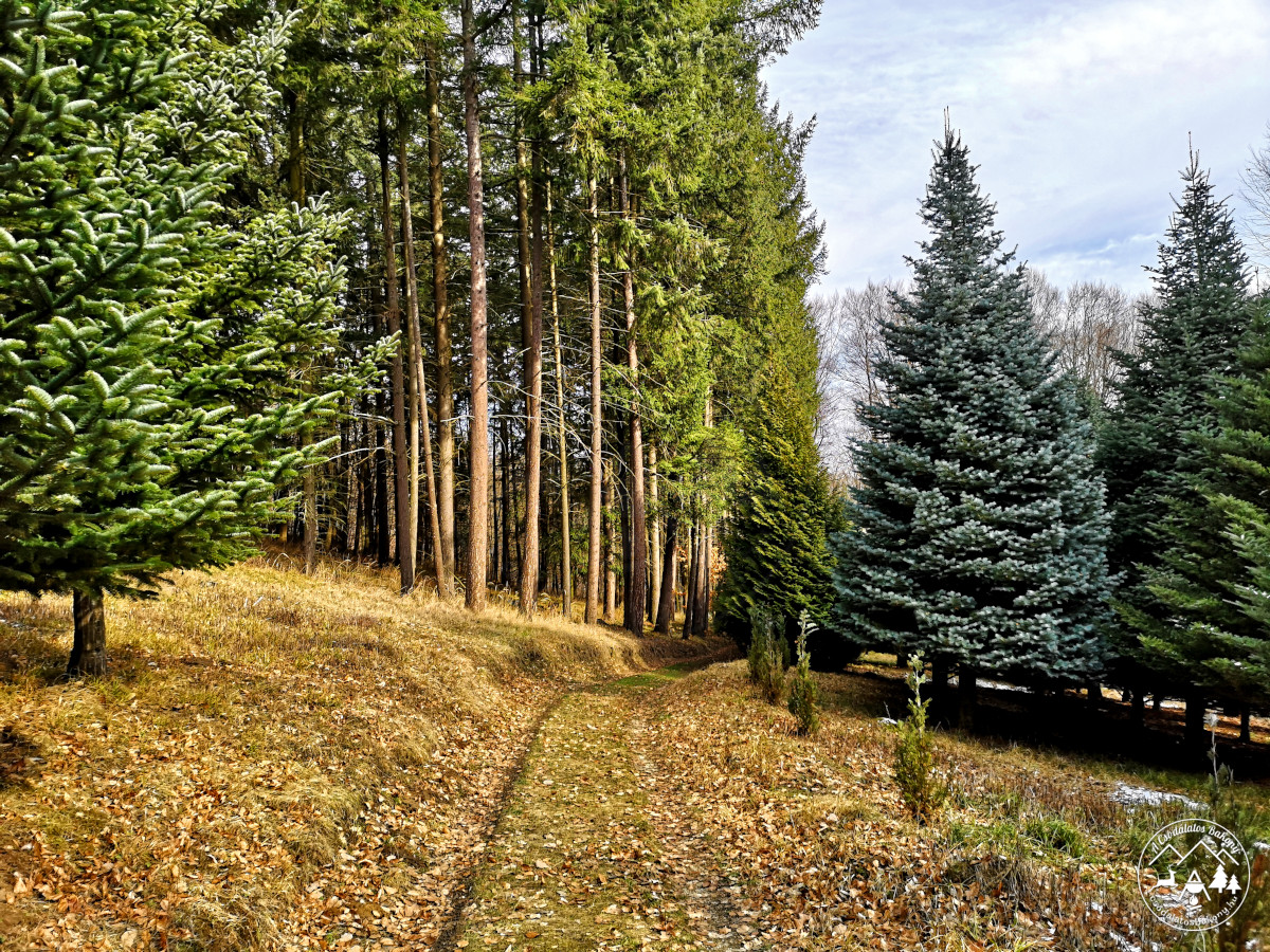 Forrasztókői Egzótakert