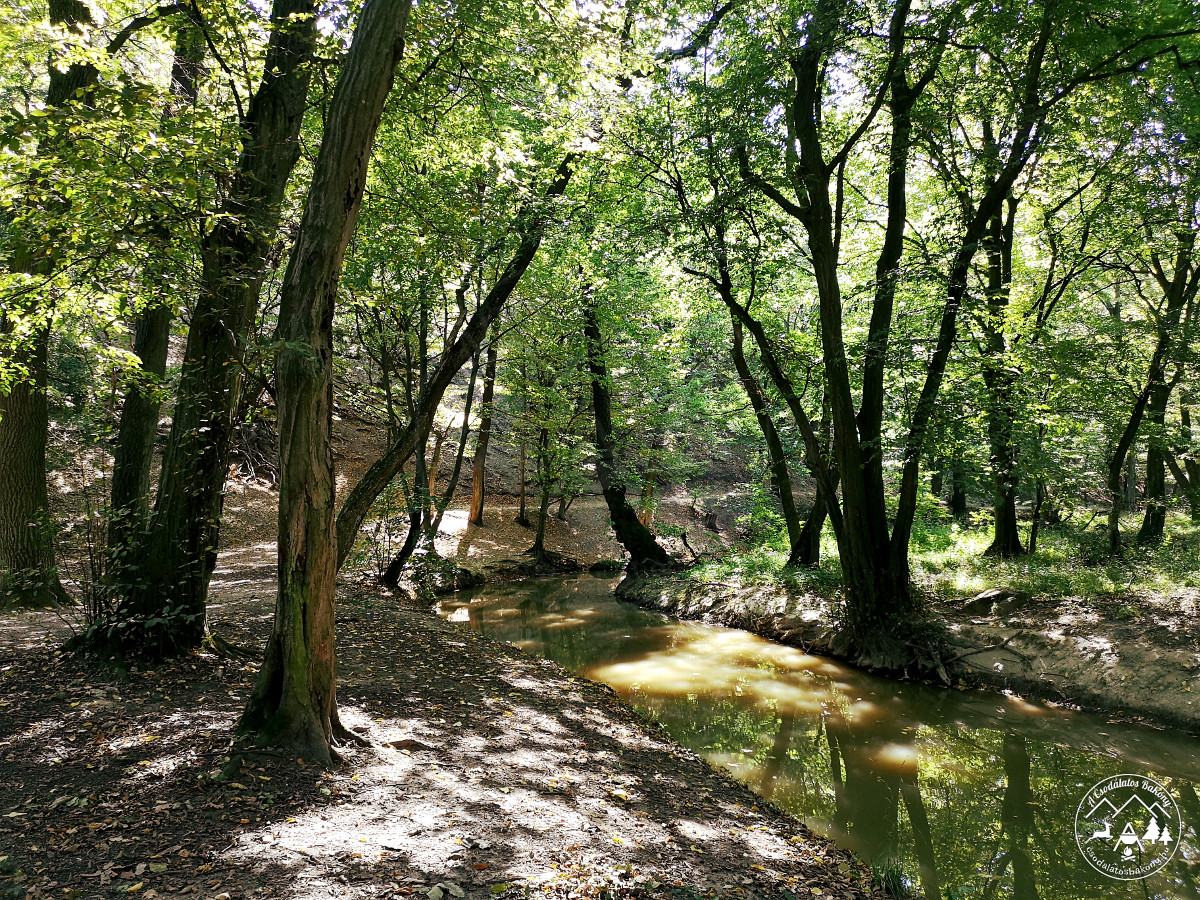 Gaja-szurdok (Gaja-völgyi Tájcentrum)