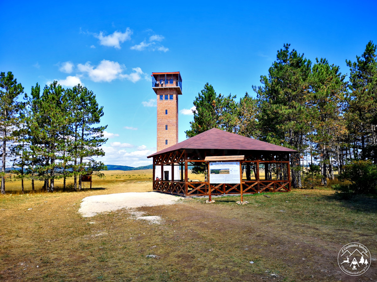 Katonai Torony-kilátó, Nagyvázsony