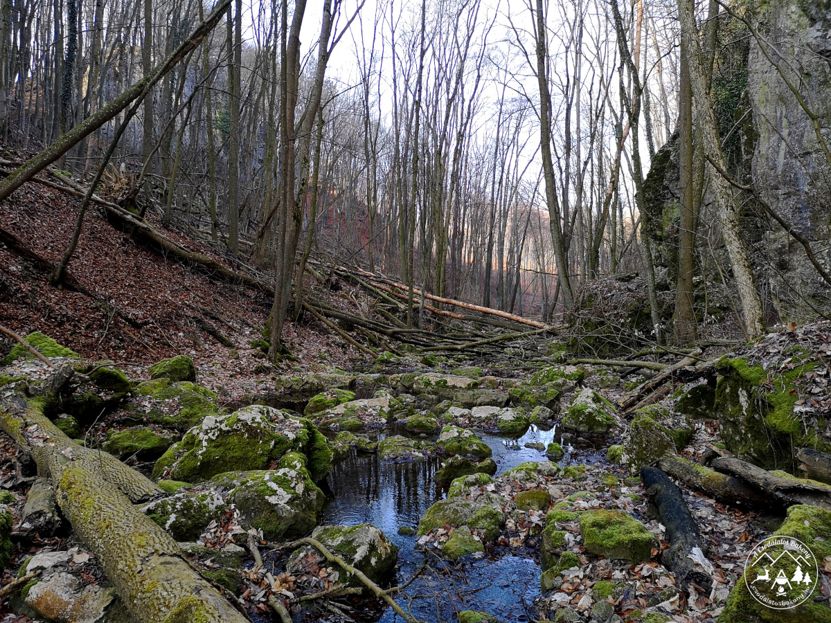 Kertes-kői Szurdok (Gugyor)