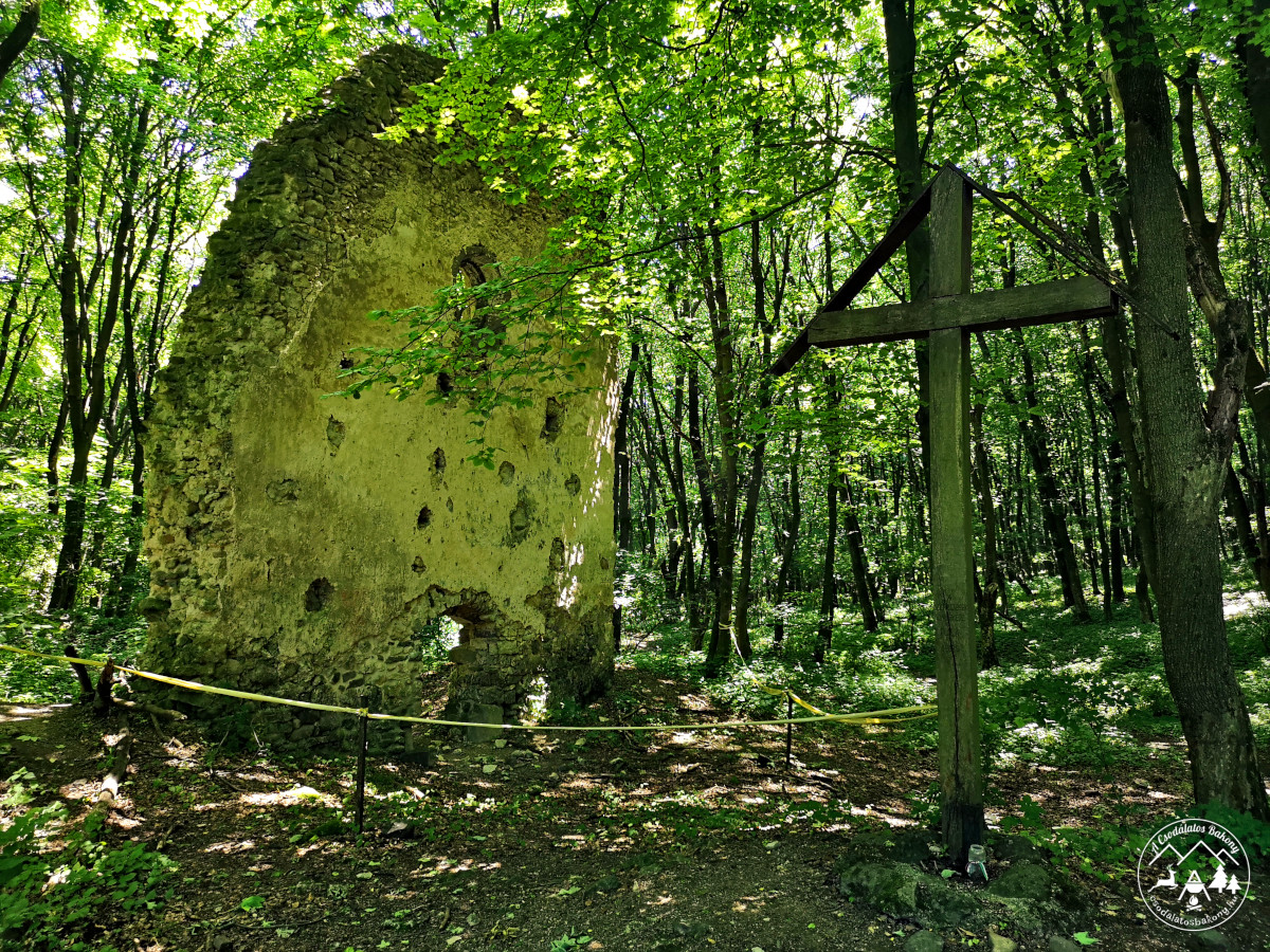 Szent Erzsébet pálos kolostorrom (Tálodi kolostorrom)